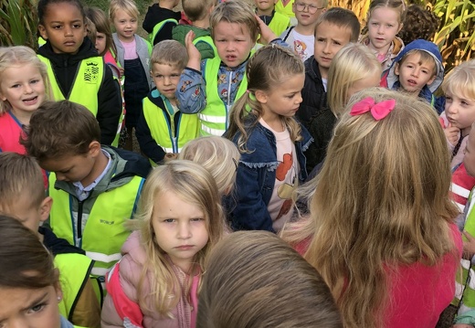 2023-2024 Outdoor maisveld