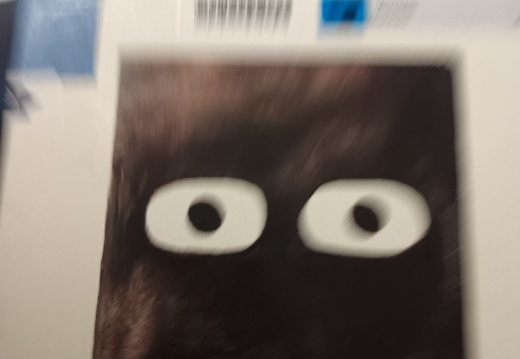 20240209 165451