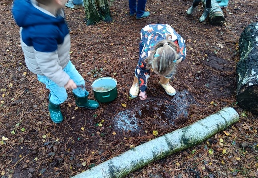 Outdoor - een modderpoel voor kikker