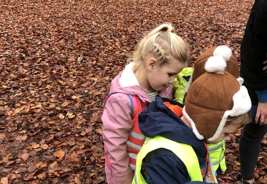 Herfstwandeling