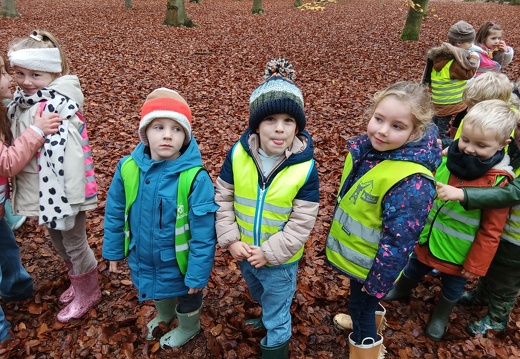 Herfstwandeling KS