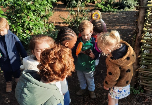 Op zoek naar de lente