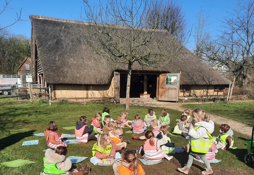 Jonge diertjes op de boerderij